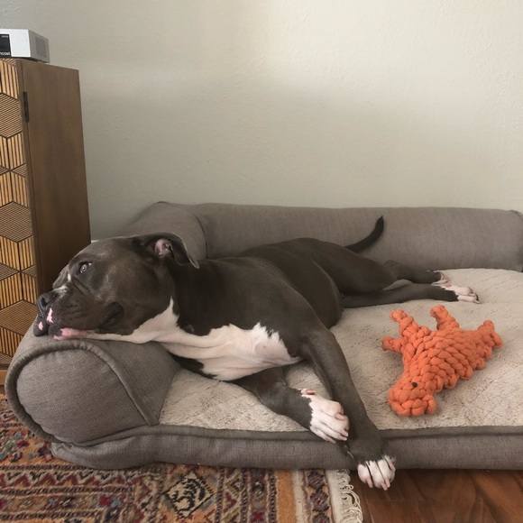 About Me - Picture 3 of 9